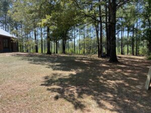 Yard of house in Amite County, MS